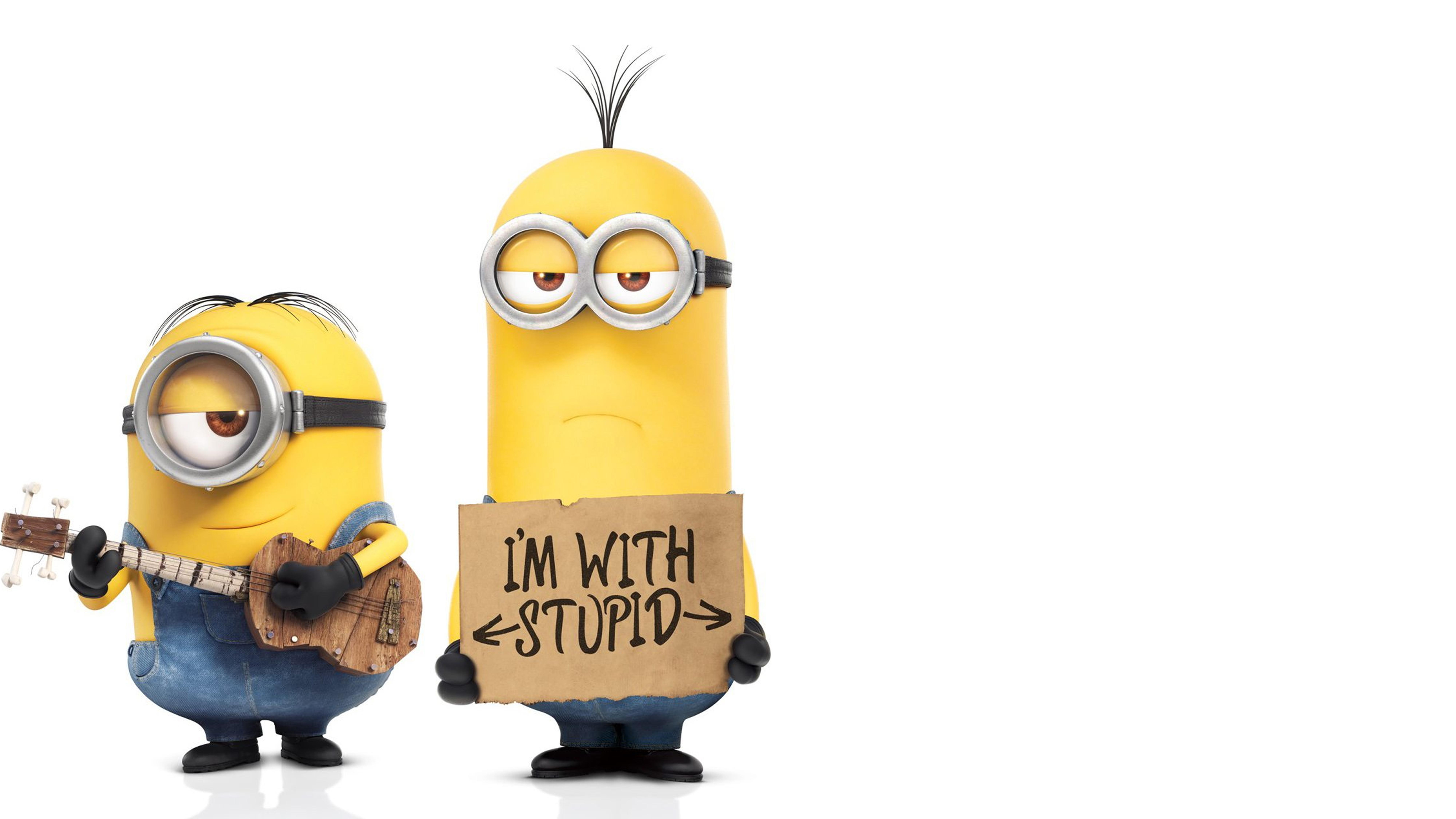 Minions Im With Stupid Funny Meeting Backgrounds