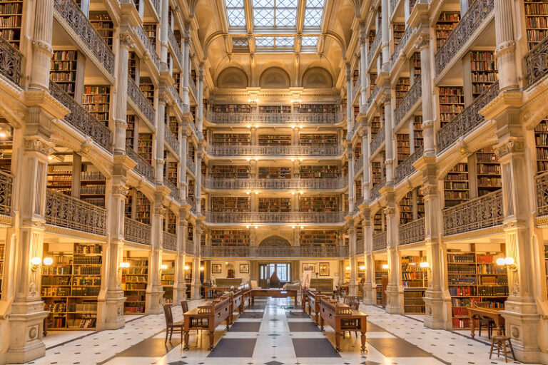 17 Professional Library Backgrounds for Zoom Teams or Skype - Funny