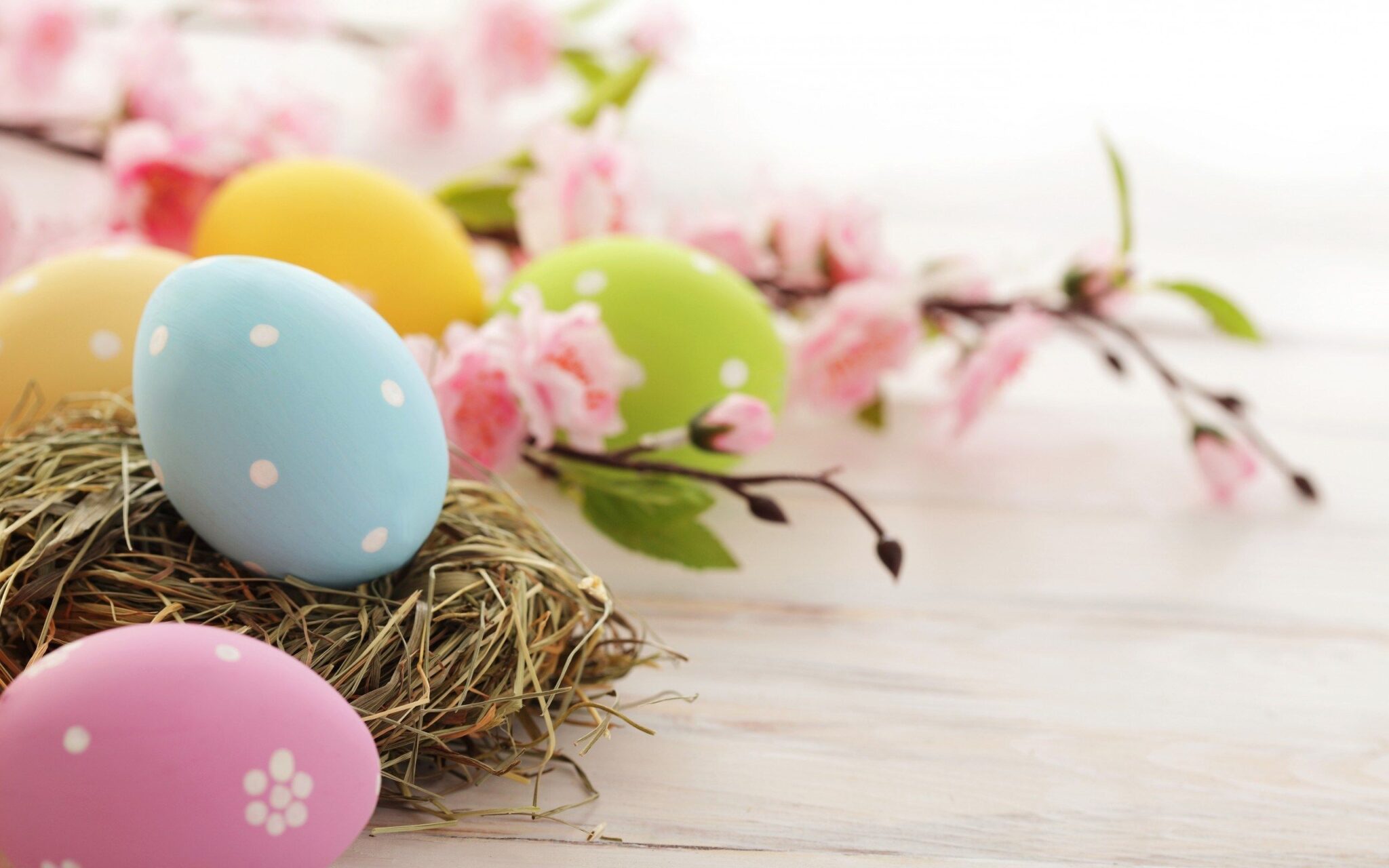 16 Easter Backgrounds for Zoom, Teams & Skype Funny Meeting Backgrounds