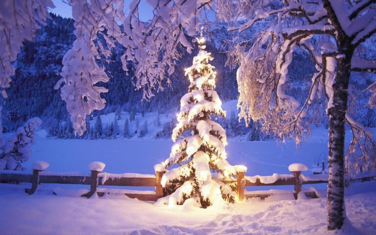 30+ Festive Christmas Tree Meeting Backgrounds for Zoom & Teams - Funny